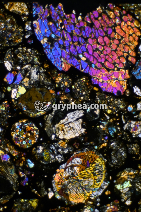 Météorite (lame mince de Chondrite de type LL) LPA x5 - gryphea.com